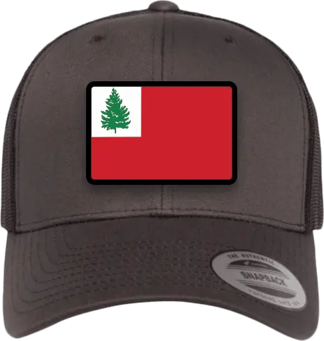 One New Englander Flag Embroidered Cotton Hat 1