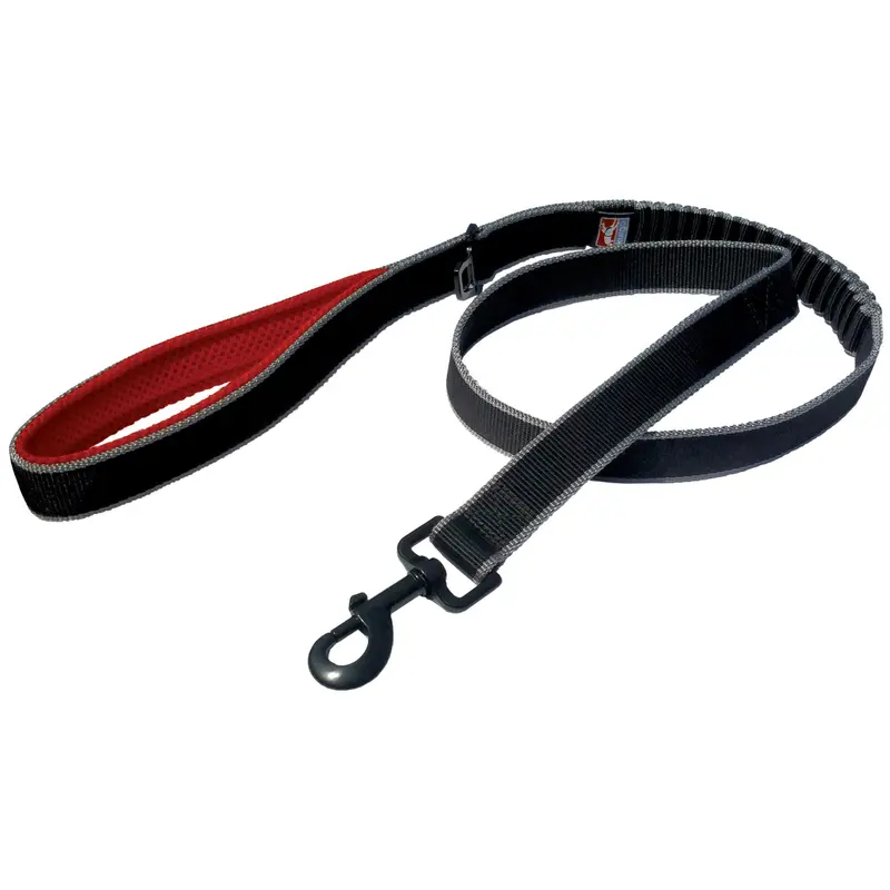 Springback Reflective Dog Leash – 48" For Hiking 1